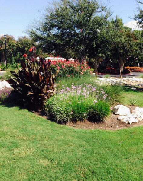 commercial landscaping services